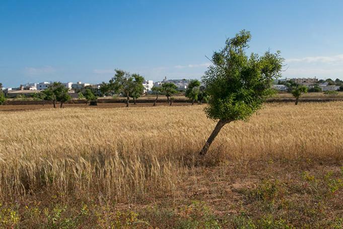 Apartamento Ca Na Maria Teueta Sant Ferran de Ses Roques Exterior foto