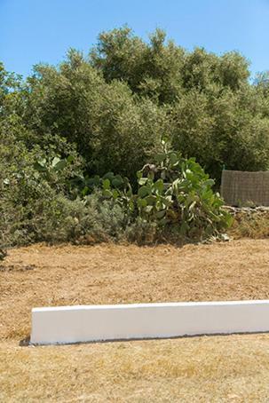 Apartamento Ca Na Maria Teueta Sant Ferran de Ses Roques Exterior foto