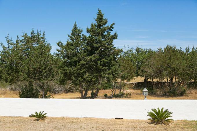 Apartamento Ca Na Maria Teueta Sant Ferran de Ses Roques Exterior foto
