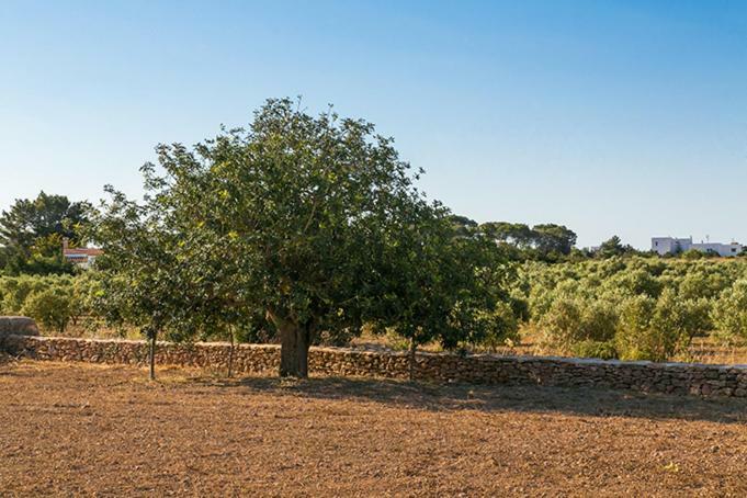 Apartamento Ca Na Maria Teueta Sant Ferran de Ses Roques Exterior foto